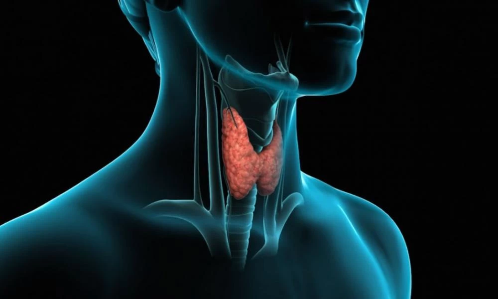 Υποθυρεοειδισμός: Ποιά είναι η σωστή διατροφή για τον θυρεοειδή